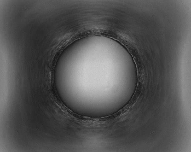 X0000086901061200704160942