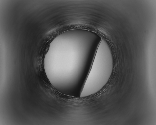 X0000086901062200704160942