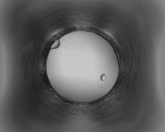 X0000086901063200704160942