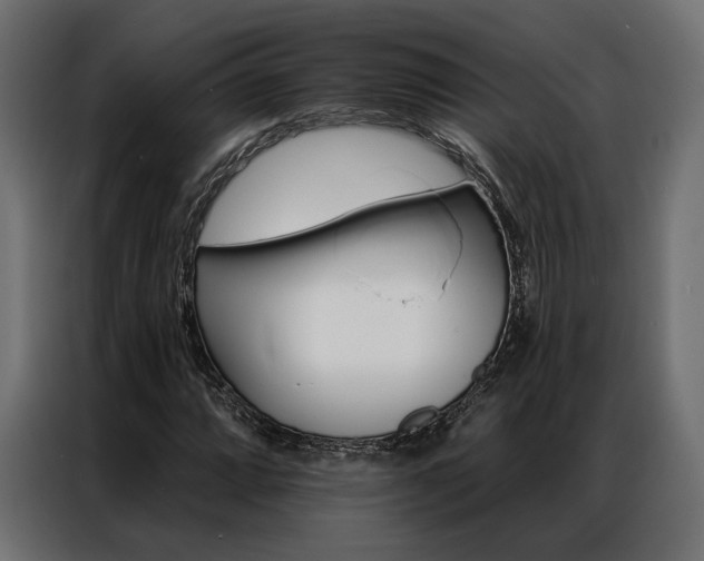 X0000086901064200704160942