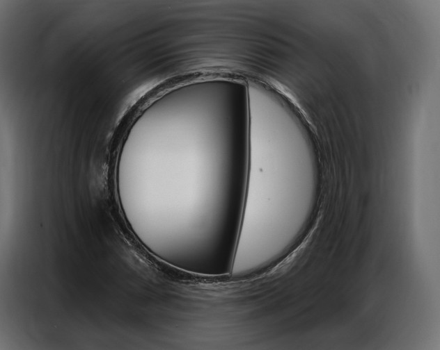 X0000086901066200704160942