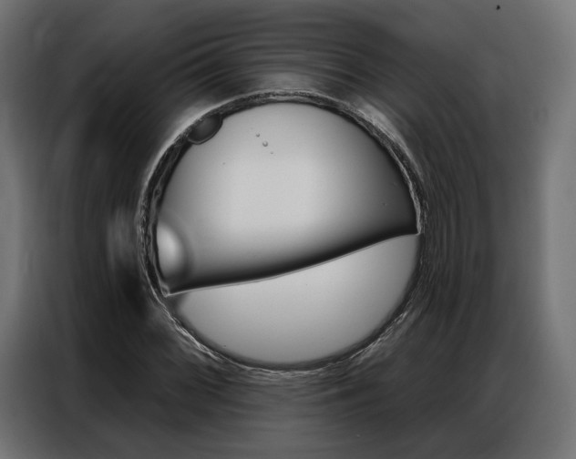 X0000086901068200704160941