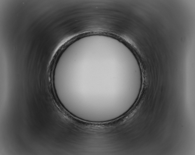 X0000086901070200704160941