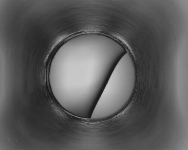 X0000086901075200704160941