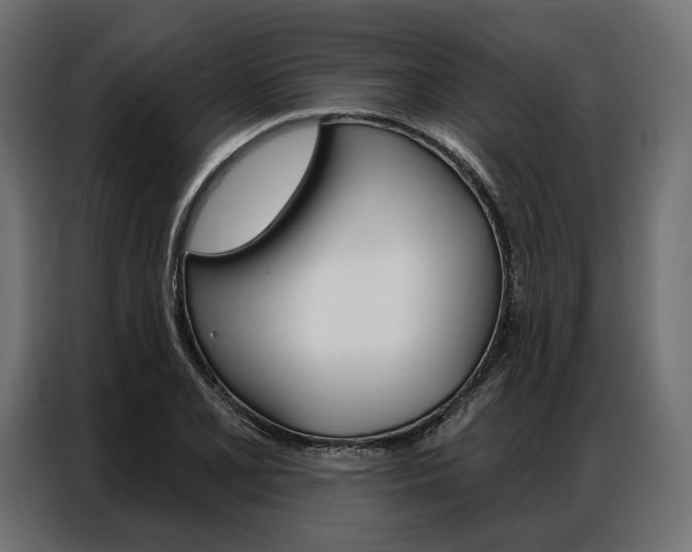X0000086901077200704160941