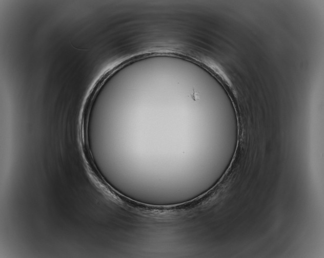 X0000086901080200704160941