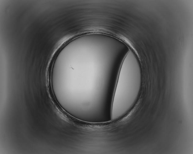 X0000086901082200704160941