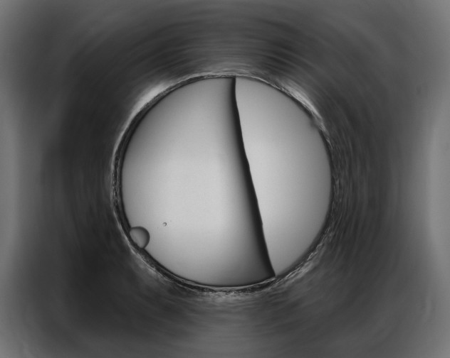 X0000086901087200704160941