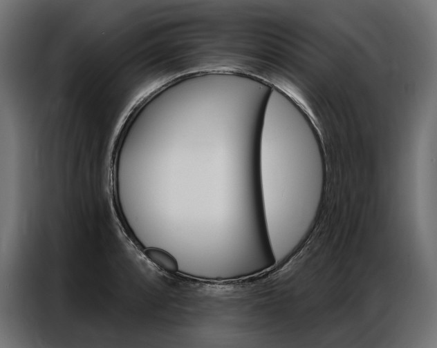 X0000086901088200704160941