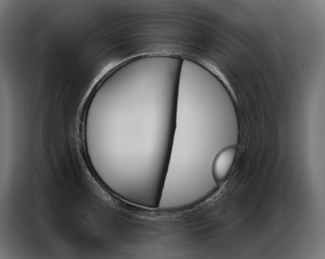 X0000086901091200704160941
