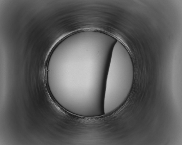 X0000086901092200704160941