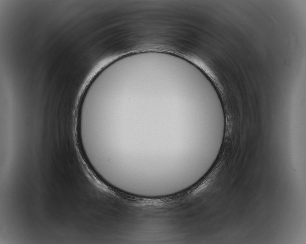 X0000086901094200704160941