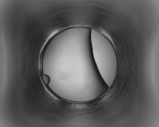 X0000086901095200704160941