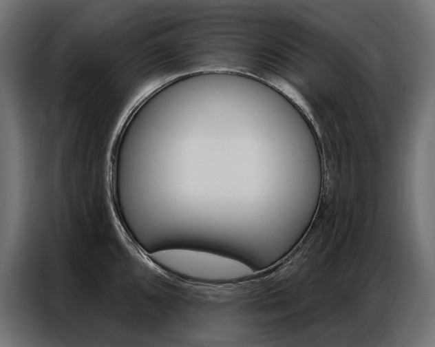 X0000086901096200704160941