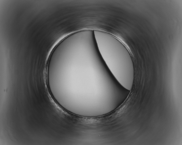 X0000086901100200704160941