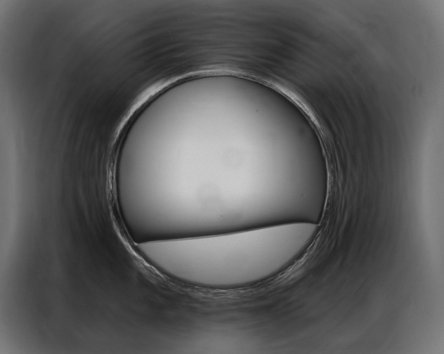 X0000086901101200704160941