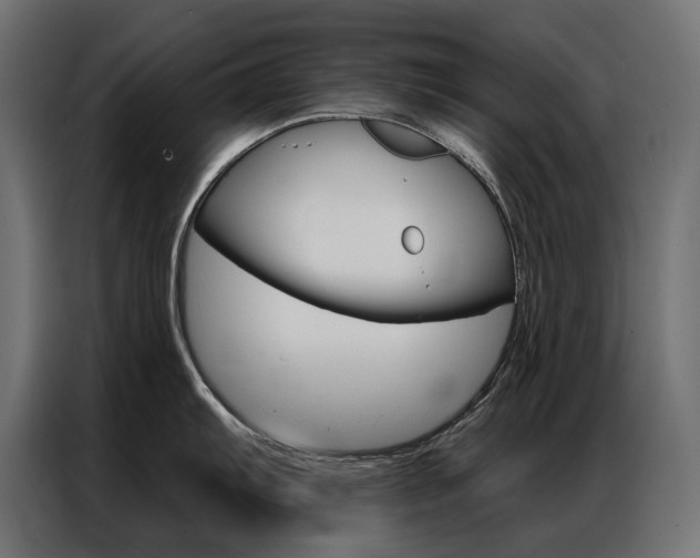 X0000086901103200704160941