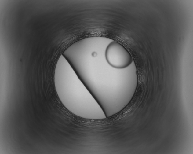 X0000086901106200704160940