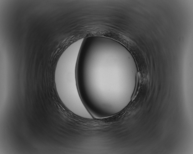 X0000086901108200704160940