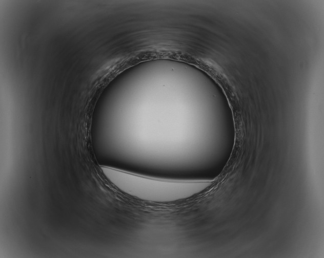 X0000086901110200704160940
