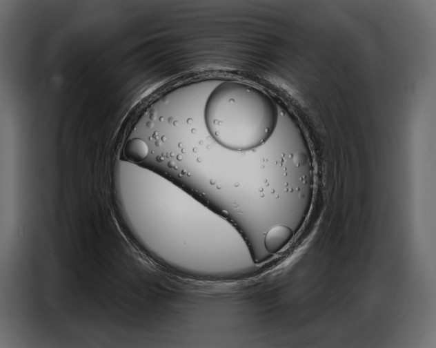 X0000086901113200704160940