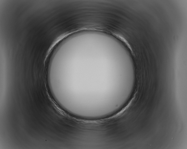 X0000086901114200704160940