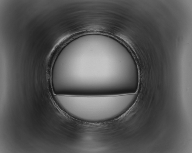 X0000086901115200704160940