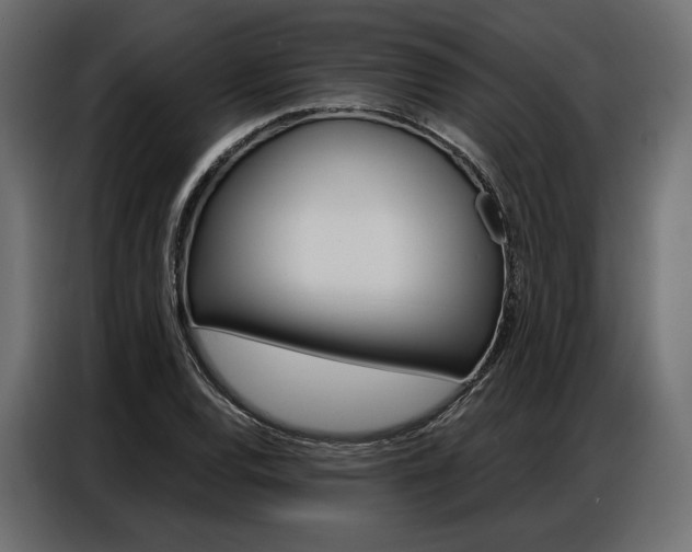X0000086901120200704160940