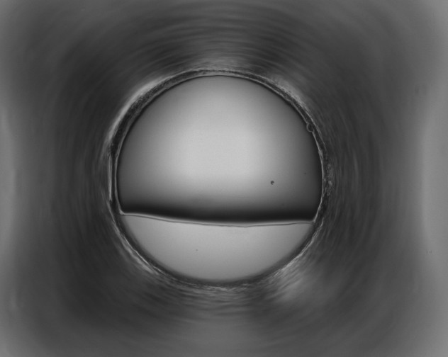 X0000086901123200704160940