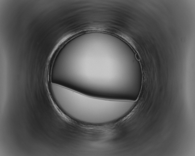 X0000086901131200704160941