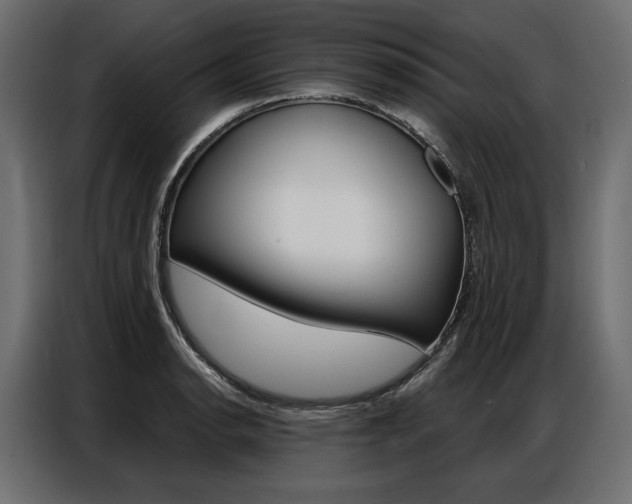 X0000086901134200704160941