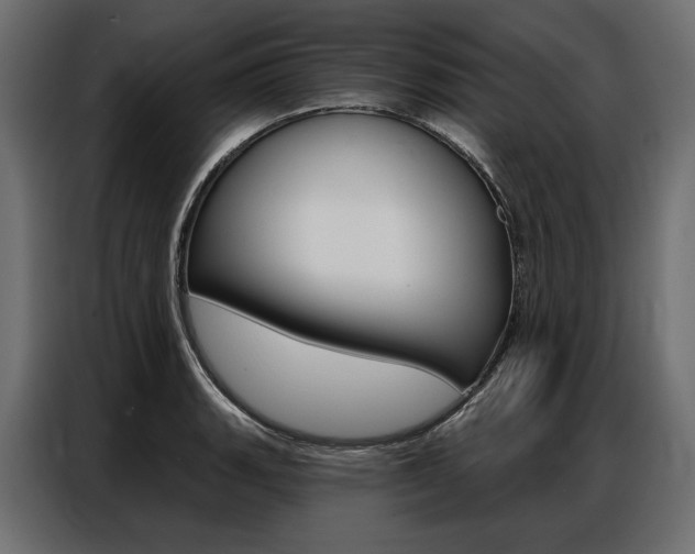 X0000086901135200704160941