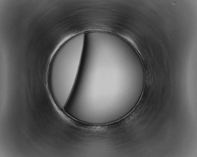 X0000086901139200704160941