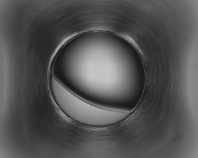 X0000086901140200704160941