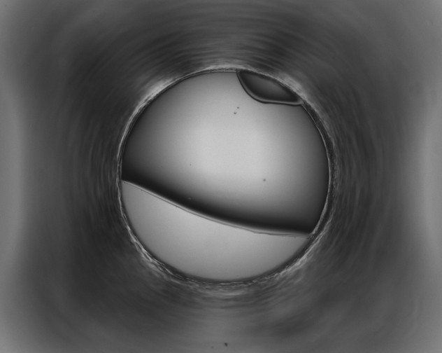 X0000086901145200704160941