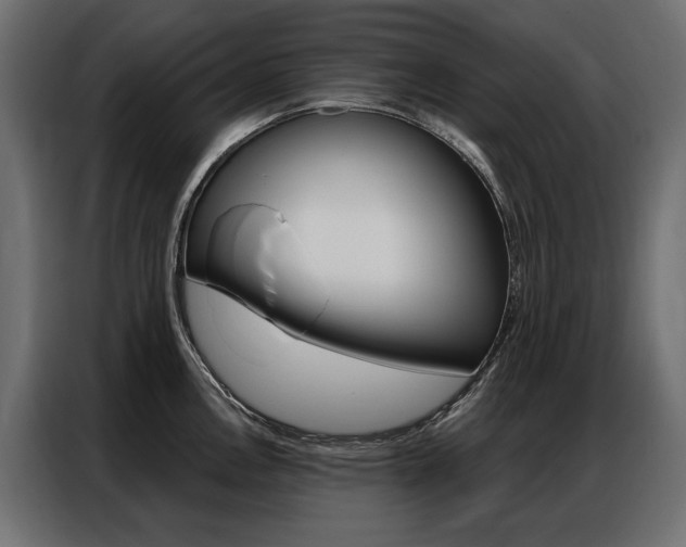 X0000086901146200704160941