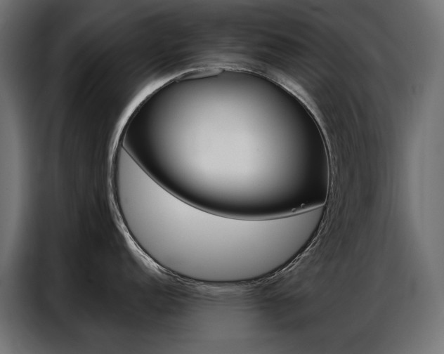 X0000086901152200704160941