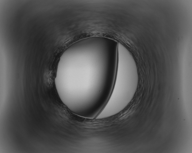 X0000086901156200704160940