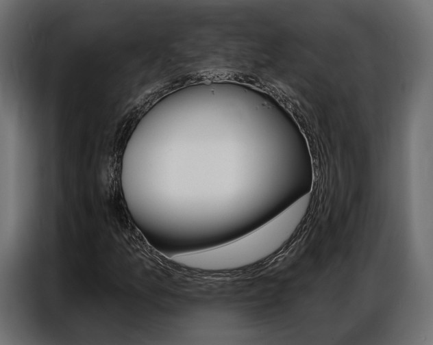 X0000086901157200704160940
