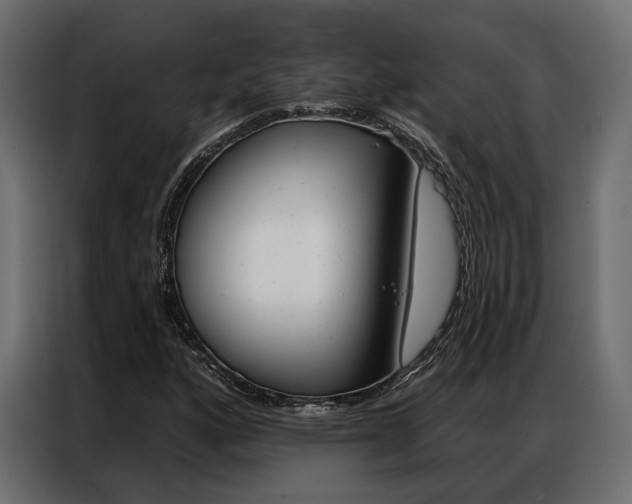 X0000086901160200704160940