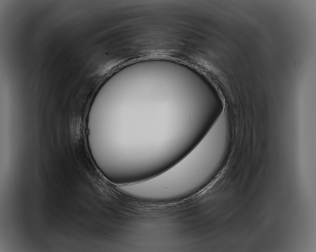 X0000086901161200704160940