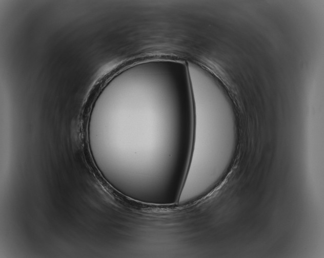 X0000086901164200704160940