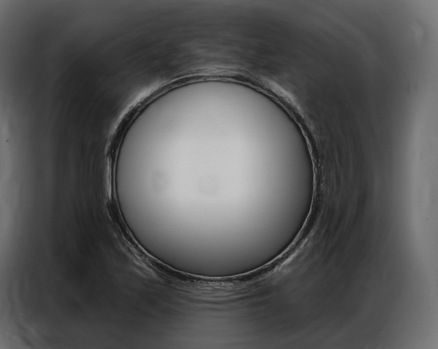 X0000086901171200704160940