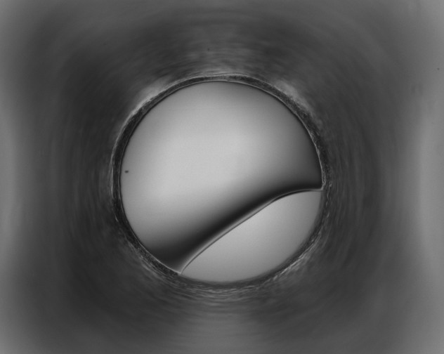 X0000086901173200704160940