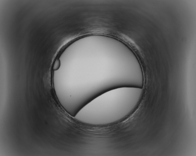 X0000086901174200704160940