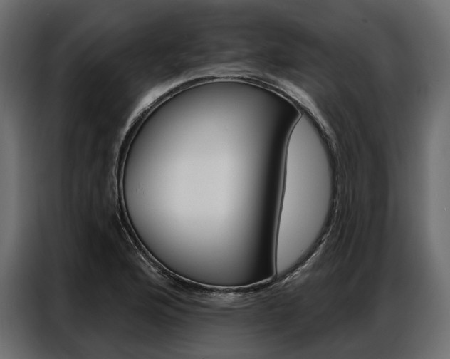 X0000086901176200704160940