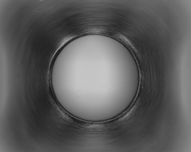 X0000086901178200704160940