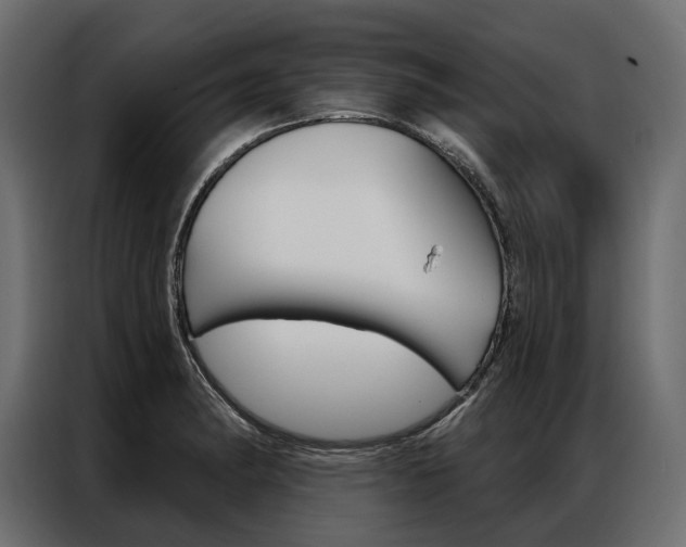 X0000086901182200704160940