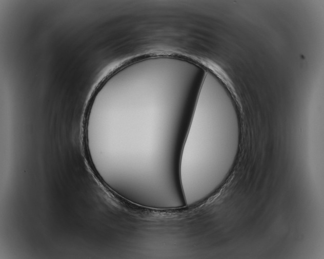 X0000086901183200704160940