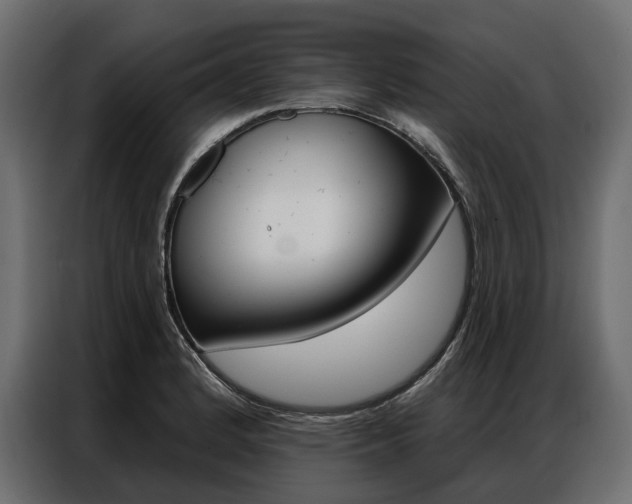 X0000086901184200704160940